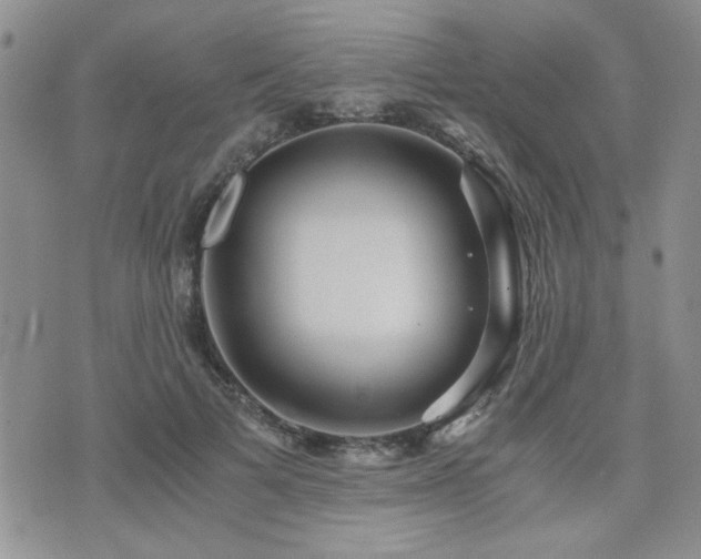 X0000076090697200609221158