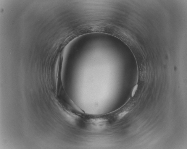 X0000076090748200609221157