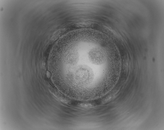 X0000076090749200609221157