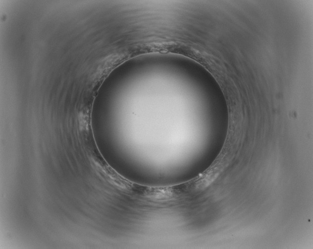 X0000076090768200609221157