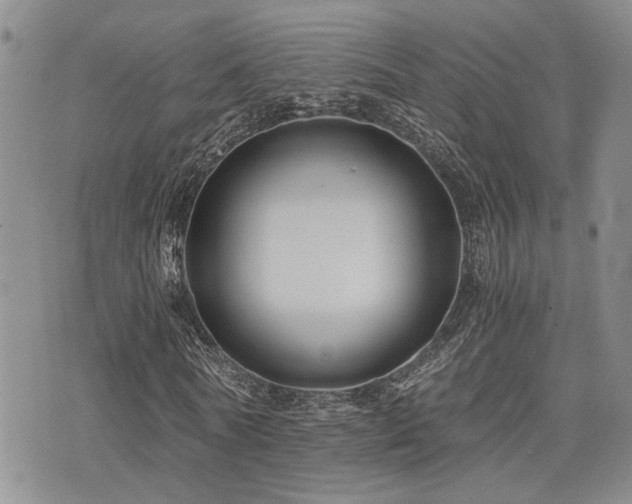X0000076090770200609221156