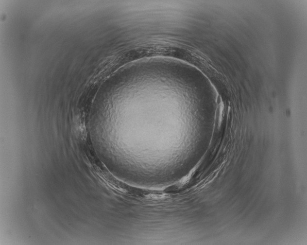 X0000076090771200609221156