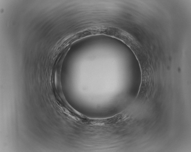 X0000076090773200609221156