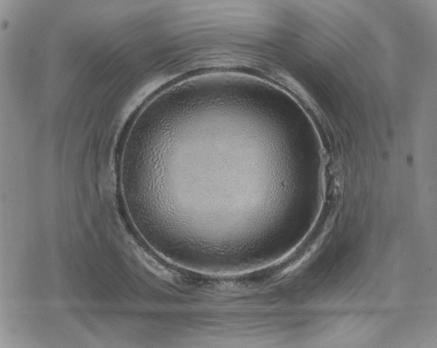 X0000076090787200609221156