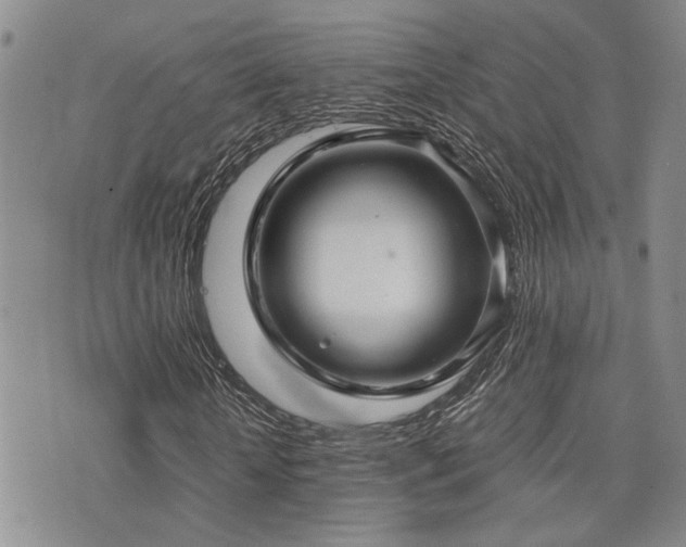 X0000076090818200609221155