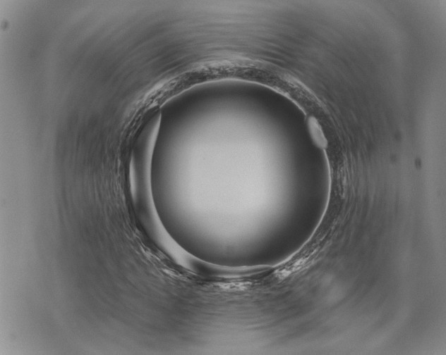 X0000076090822200609221155