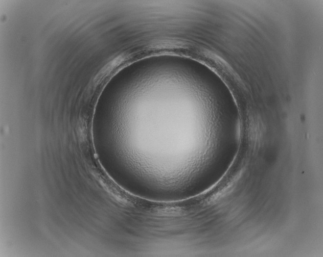X0000076090833200609221155