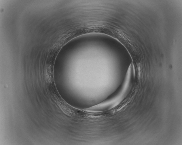 X0000076090868200609221155