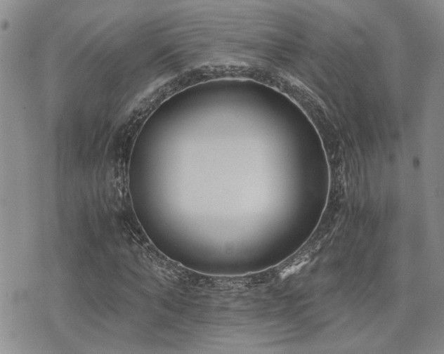 X0000076090870200609221155