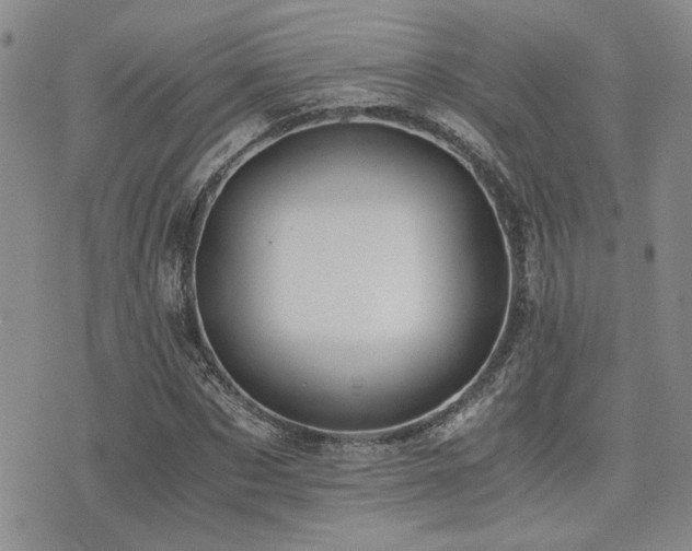 X0000076090873200609221155