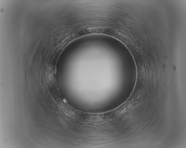 X0000076090914200609221153