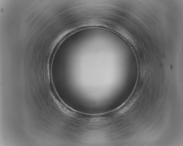 X0000076090988200609221153