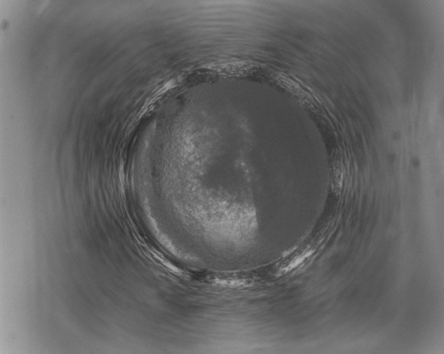 X0000076091010200609221152