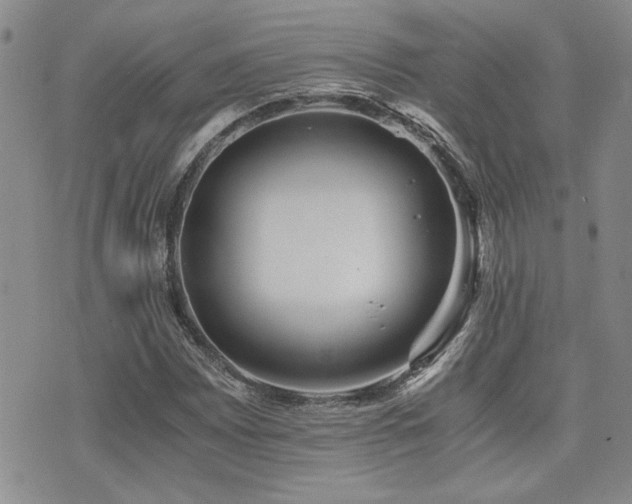 X0000076091065200609221151