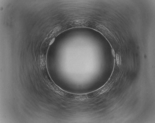 X0000076091107200609221150