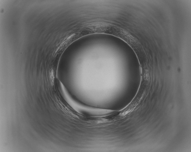 X0000076091108200609221150