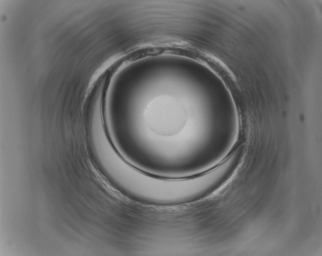 X0000076091114200609221150