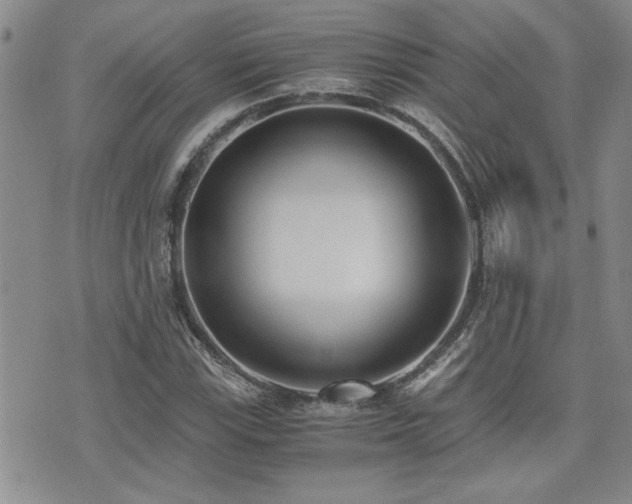 X0000076091115200609221150