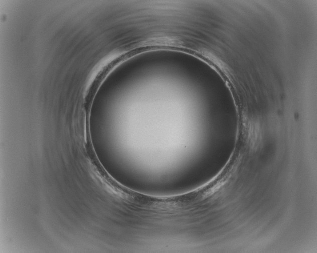 X0000076091123200609221150