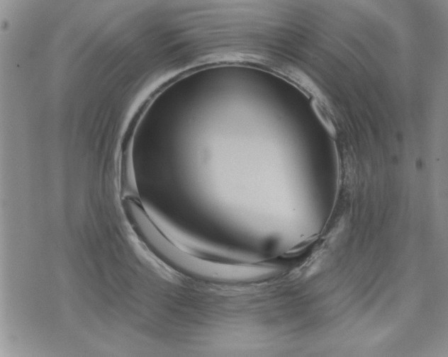 X0000076091132200609221150