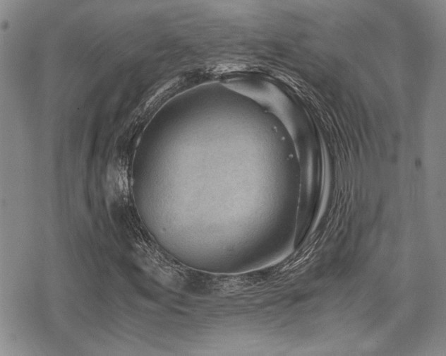 X0000076091155200609221150