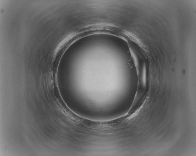 X0000076091164200609221150