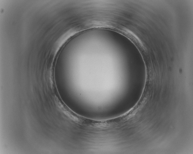 X0000076091182200609221149
