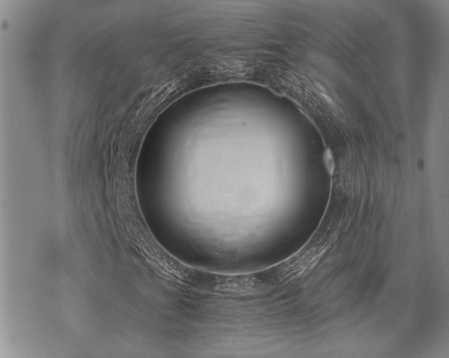 X0000076091201200609221148