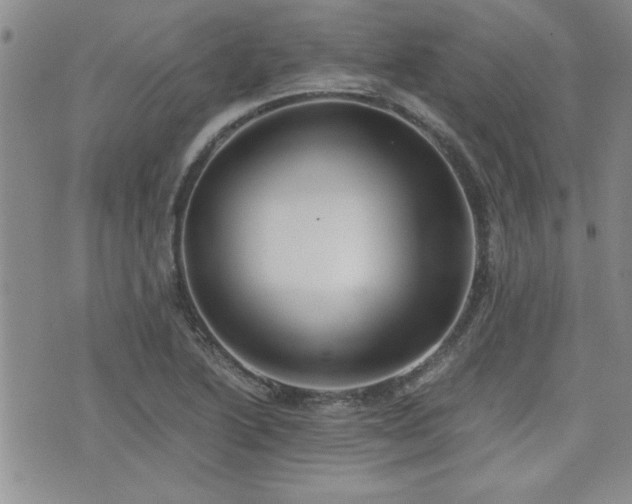 X0000076091222200609221149