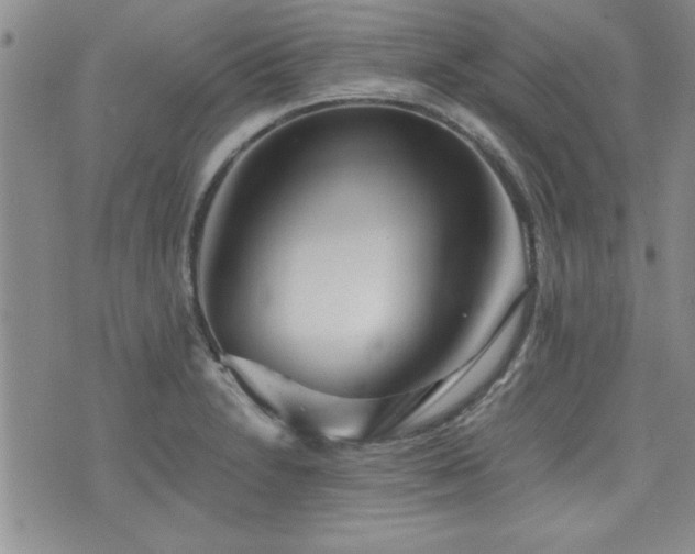 X0000076091230200609221149