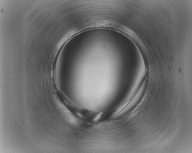 X0000076091234200609221149