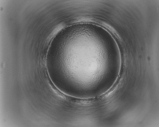 X0000076091241200609221149