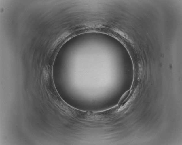 X0000076091257200609221148
