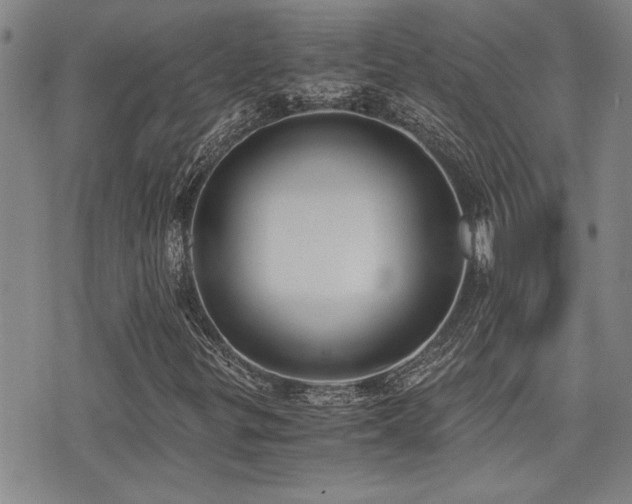 X0000076091299200609221147