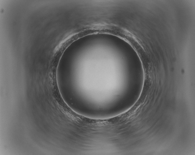 X0000076091304200609221147