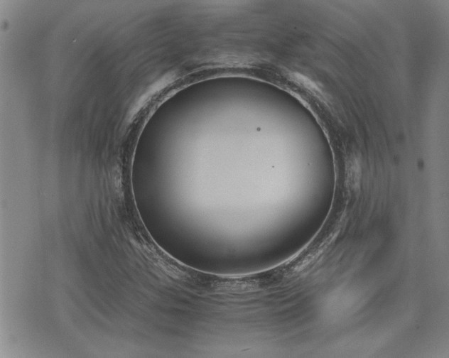 X0000076091307200609221147