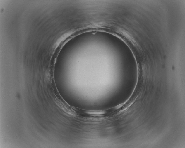X0000076091308200609221147