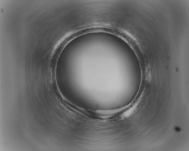 X0000076091310200609221147