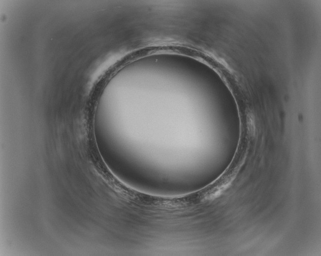 X0000076091311200609221147