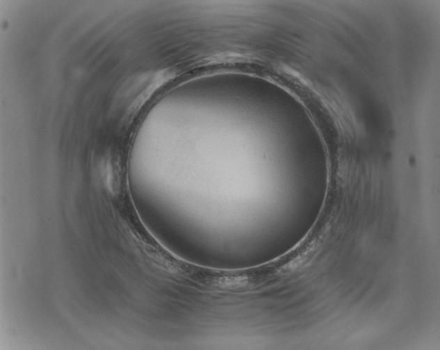 X0000076091313200609221147