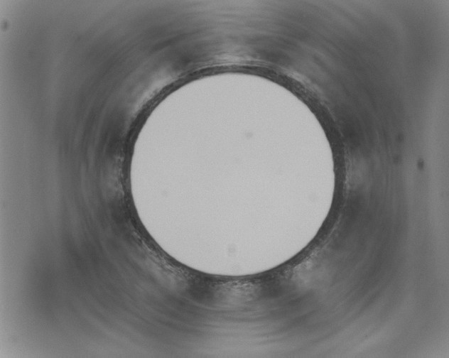 X0000076091314200609221147