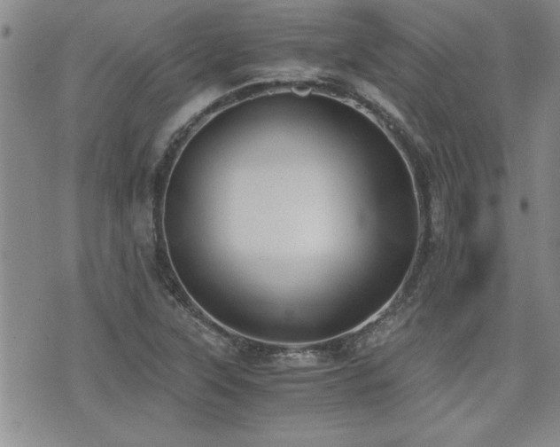 X0000076091315200609221147