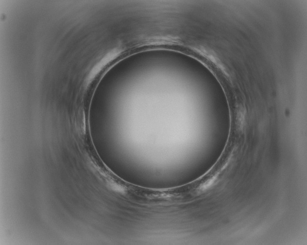 X0000076091317200609221147