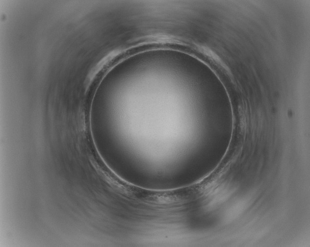 X0000076091318200609221147