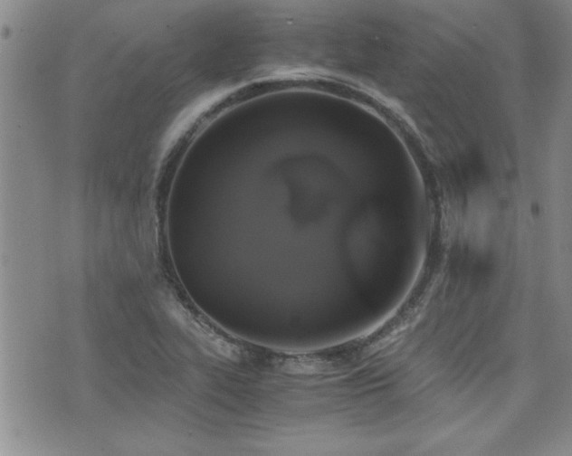 X0000076091319200609221147