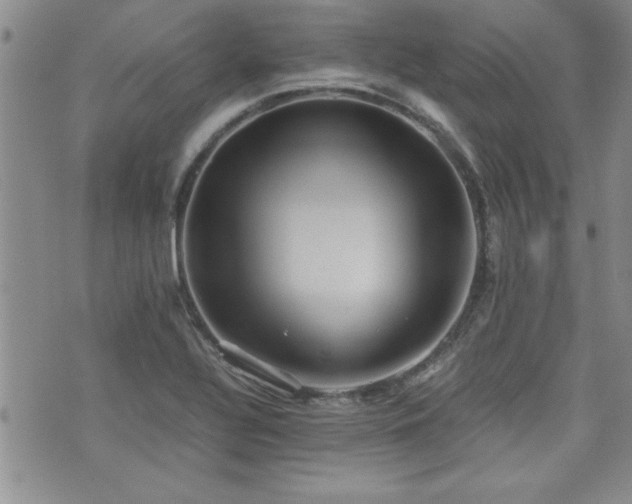 X0000076091320200609221147