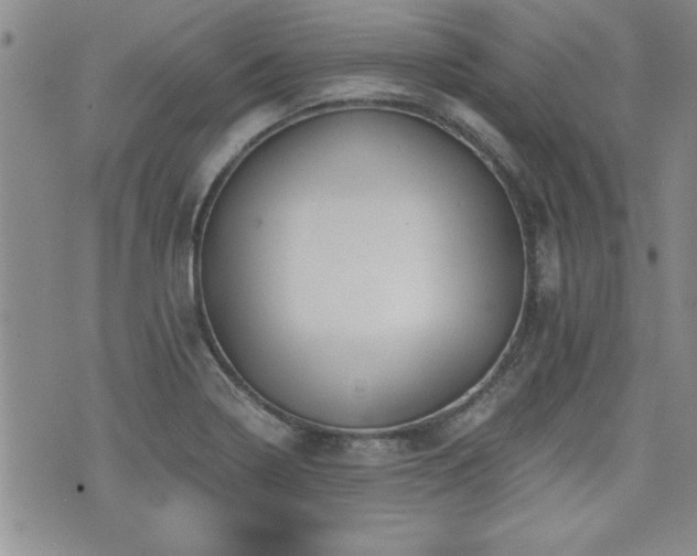 X0000076091322200609221147