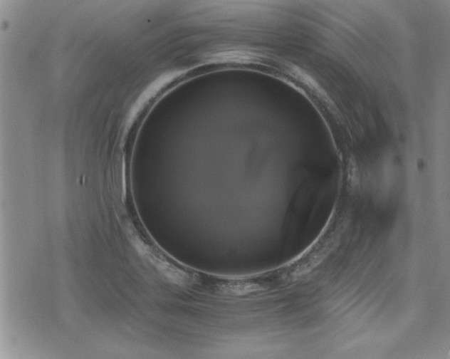 X0000076091323200609221147