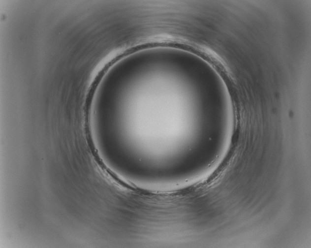 X0000076091326200609221147