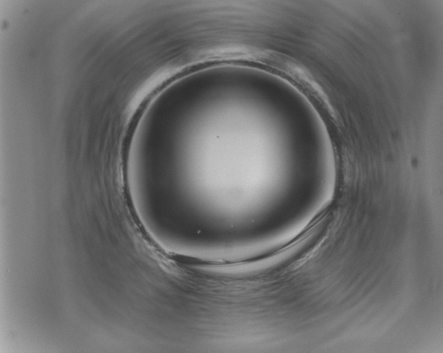 X0000076091328200609221147